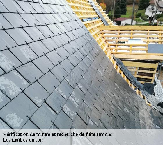 Vérification de toiture et recherche de fuite 22250