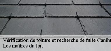 Vérification de toiture et recherche de fuite  22480