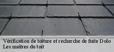 Vérification de toiture et recherche de fuite  22270