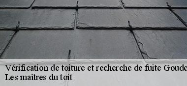 Vérification de toiture et recherche de fuite  22290