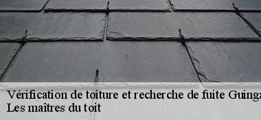 Vérification de toiture et recherche de fuite  22200