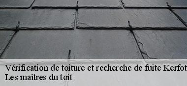 Vérification de toiture et recherche de fuite  22500