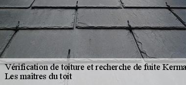 Vérification de toiture et recherche de fuite  22450