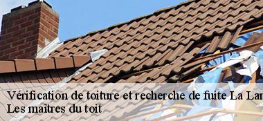 Vérification de toiture et recherche de fuite  22980