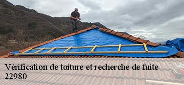Vérification de toiture et recherche de fuite  22980