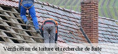 Vérification de toiture et recherche de fuite  22980