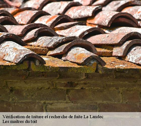Vérification de toiture et recherche de fuite  22980