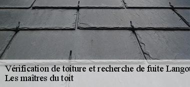 Vérification de toiture et recherche de fuite  22330