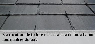 Vérification de toiture et recherche de fuite  22290