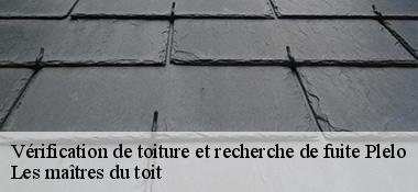 Vérification de toiture et recherche de fuite  22170