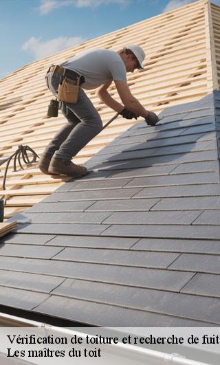Vérification de toiture et recherche de fuite  22370