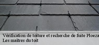 Vérification de toiture et recherche de fuite  22260