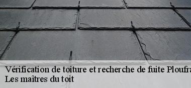 Vérification de toiture et recherche de fuite  22440