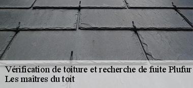 Vérification de toiture et recherche de fuite  22310