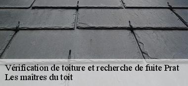 Vérification de toiture et recherche de fuite  22140