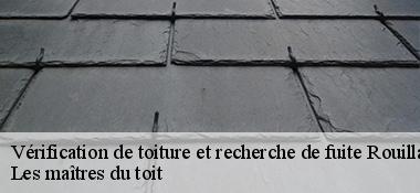 Vérification de toiture et recherche de fuite  22250