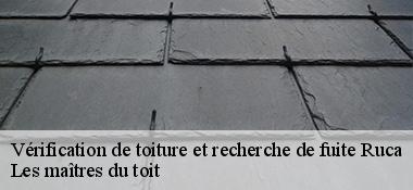 Vérification de toiture et recherche de fuite  22550