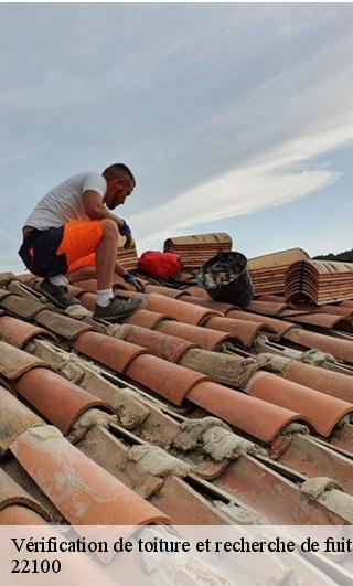 Vérification de toiture et recherche de fuite  22100