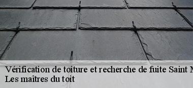 Vérification de toiture et recherche de fuite 22320