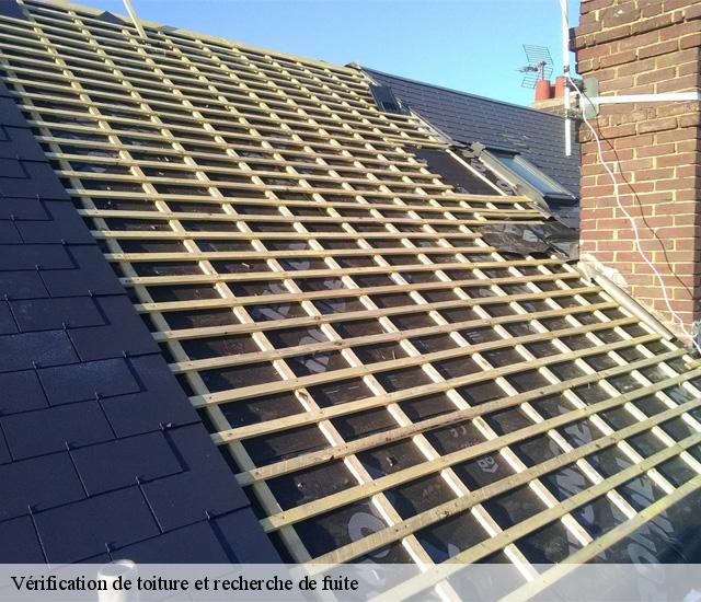 Vérification de toiture et recherche de fuite  22160