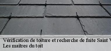 Vérification de toiture et recherche de fuite  22230