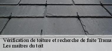 Vérification de toiture et recherche de fuite  22640