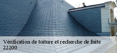 Vérification de toiture et recherche de fuite  22200