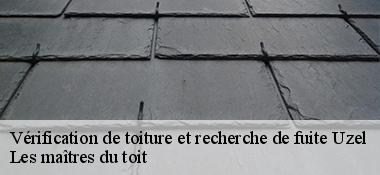 Vérification de toiture et recherche de fuite  22460
