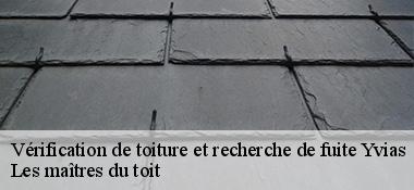 Vérification de toiture et recherche de fuite  22930