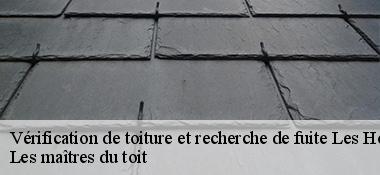 Vérification de toiture et recherche de fuite  22430