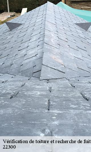 Vérification de toiture et recherche de fuite 22300