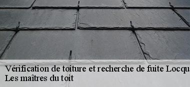 Vérification de toiture et recherche de fuite 22300