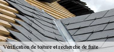 Vérification de toiture et recherche de fuite 22300