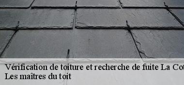 Vérification de toiture et recherche de fuite  22400