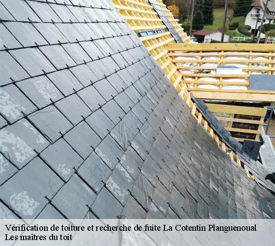 Vérification de toiture et recherche de fuite  22400