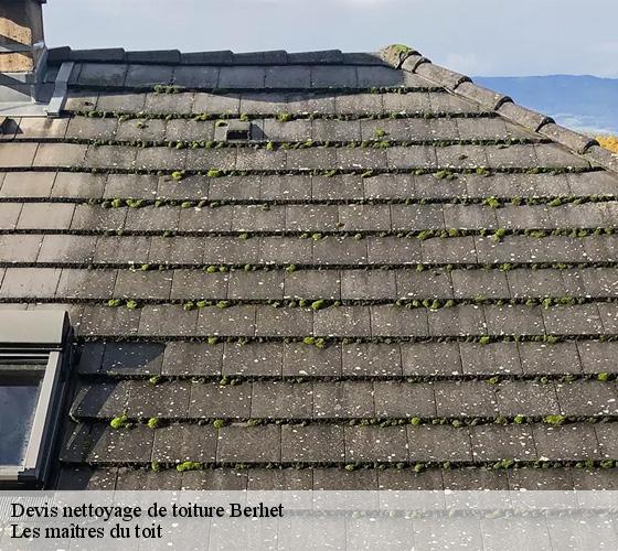 Devis nettoyage de toiture 22140