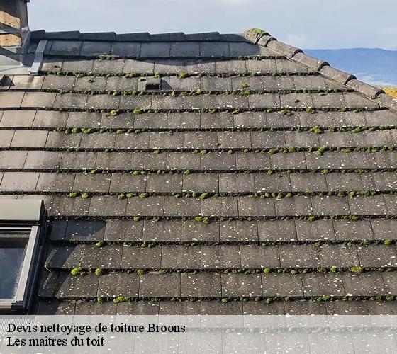 Devis nettoyage de toiture  22250