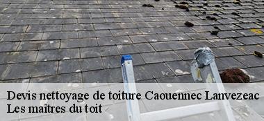 Devis nettoyage de toiture  22300