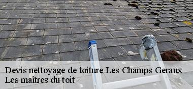 Devis nettoyage de toiture  22630