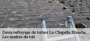 Devis nettoyage de toiture  22350