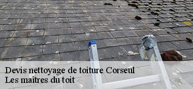 Devis nettoyage de toiture  22130