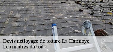 Devis nettoyage de toiture  22320