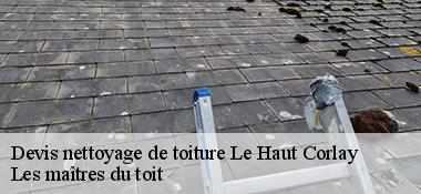 Devis nettoyage de toiture  22320