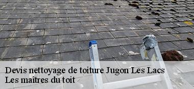 Devis nettoyage de toiture  22270