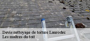 Devis nettoyage de toiture  22170