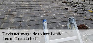 Devis nettoyage de toiture  22410