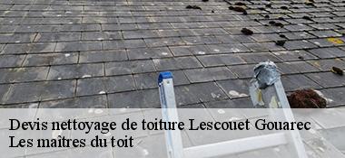 Devis nettoyage de toiture  22570