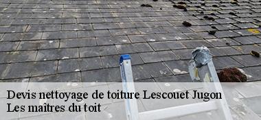 Devis nettoyage de toiture  22270