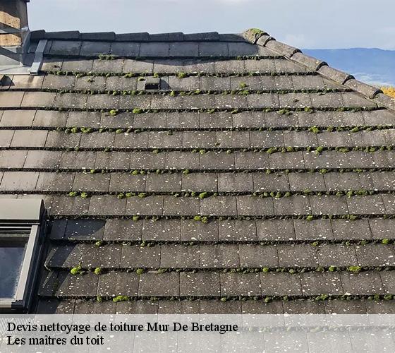 Devis nettoyage de toiture  22530