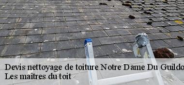 Devis nettoyage de toiture  22380